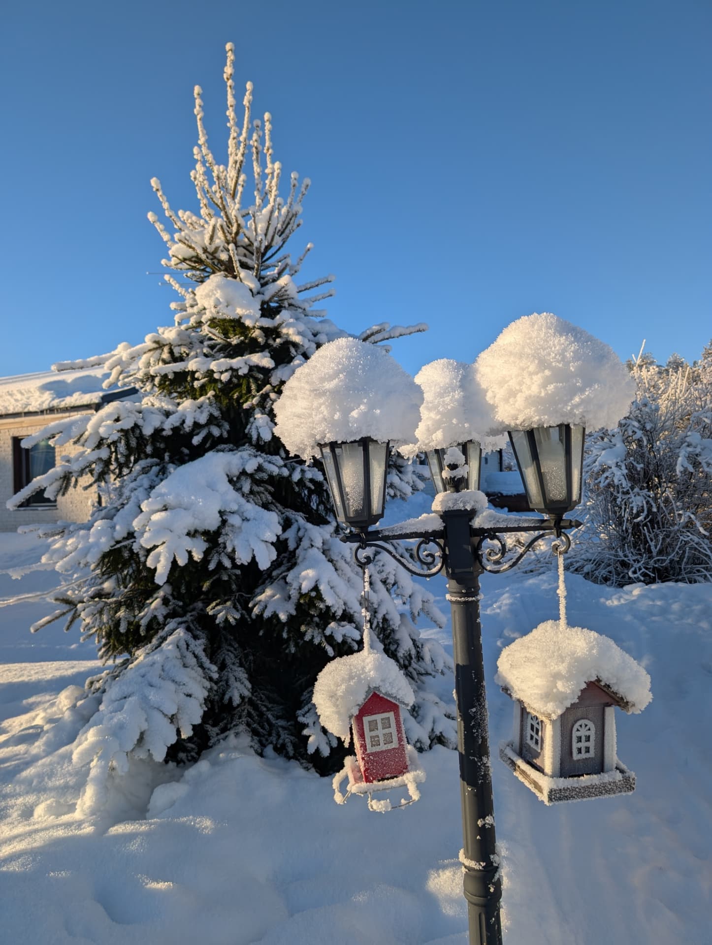 Snow-capped bird feeders hanging from a lamp post beside a frosted spruce under a clear blue winter sky